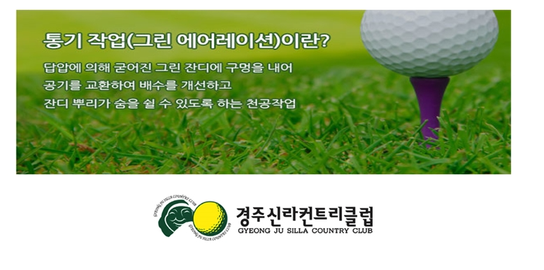 경주1-1.png