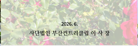 부산1-1.png